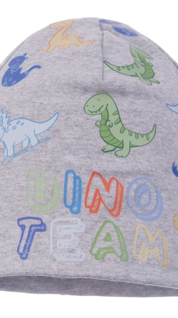 Czapka chłopięca, szara, Ambra