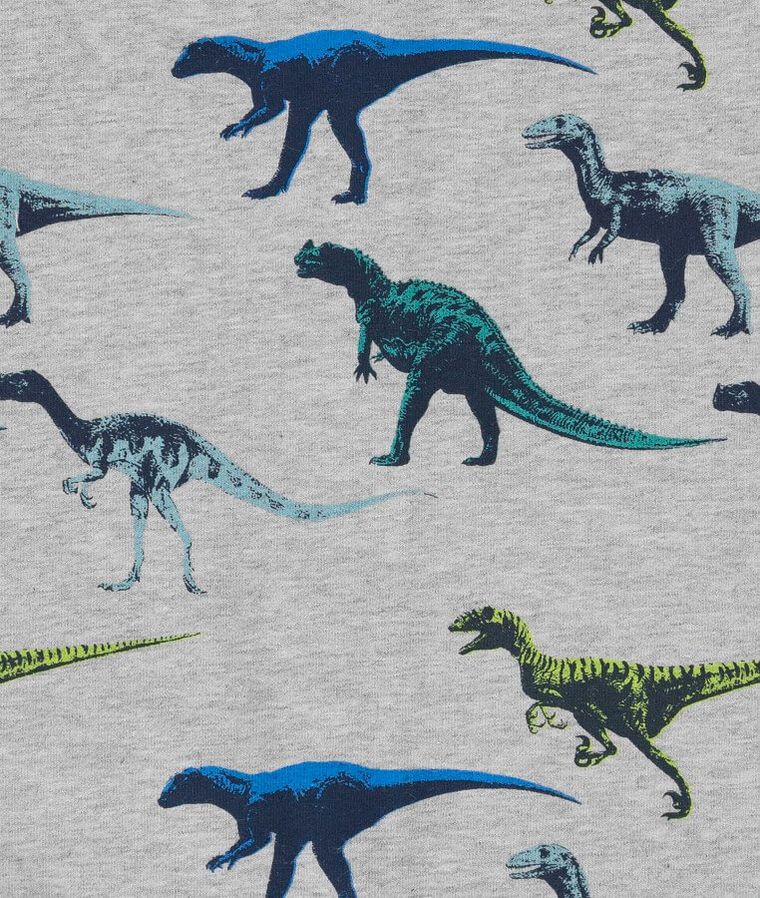 Czapka chłopięca, szara, dinozaury, Döll