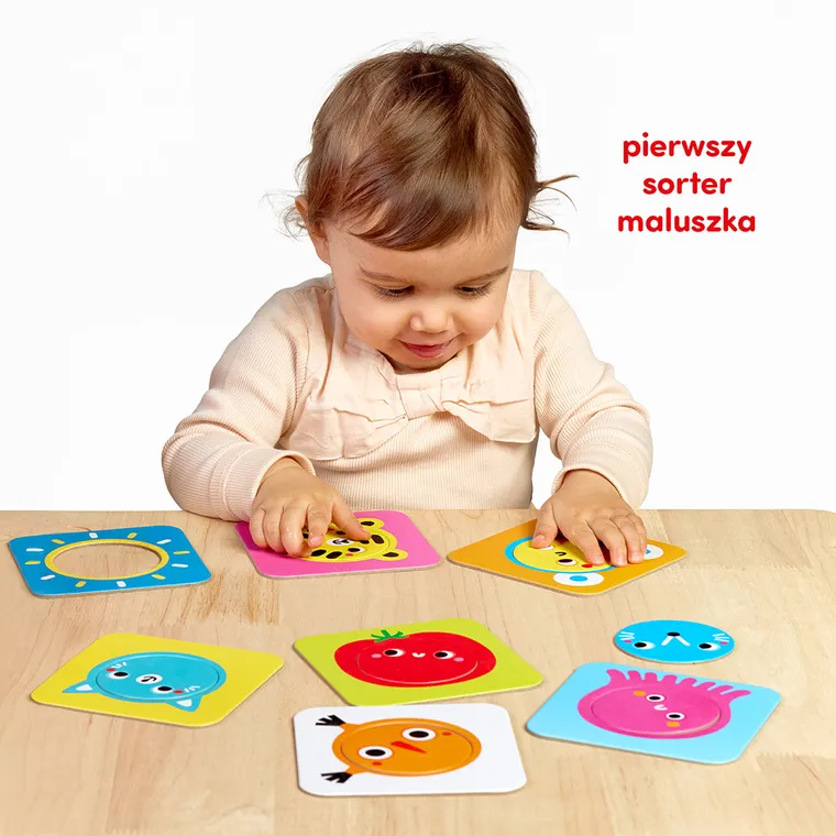 CzuCzu, Pierwszy sorter, Koło, pierwsze puzzle, 12m+