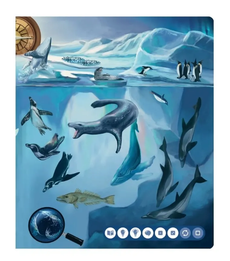 Czytaj z Albikiem. Tajemnice mórz i oceanów