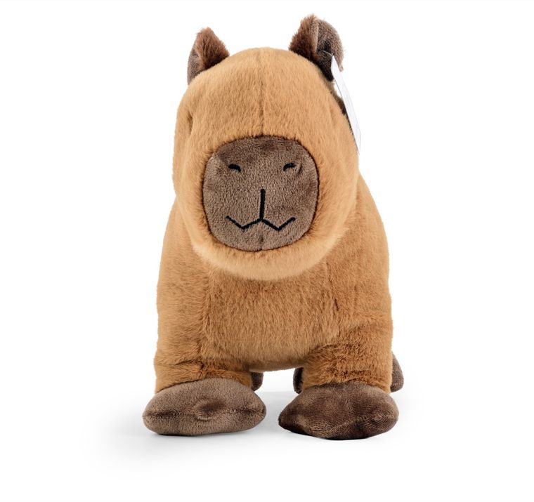 Daffi, Kapibara, maskotka, 25 cm
