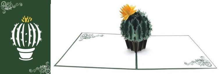 DaVinci, karnet z kopertą Pop-Up, 12-18 cm, Kaktus