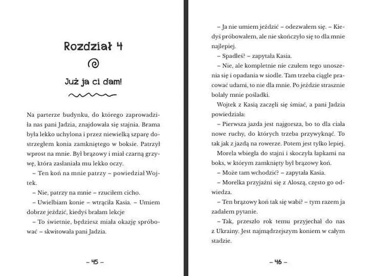 Detektywi z podstawówki. Tajemnica kierowcy Ogórka