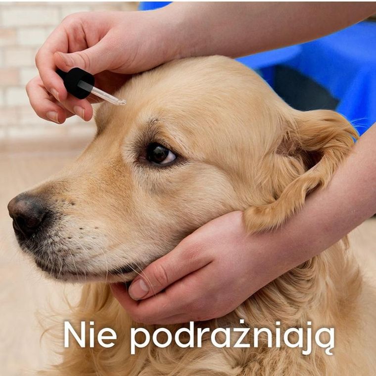 Dew, Krople do oczu dla zwierząt, 65 ml