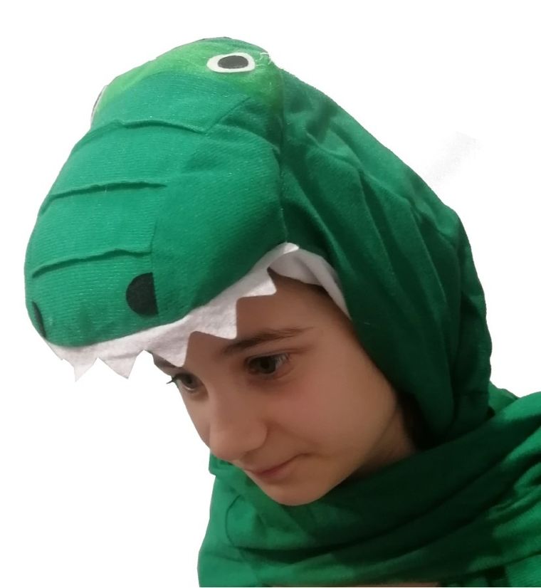 Dinozaur, smok, strój dla dzieci, rozmiar 110/116