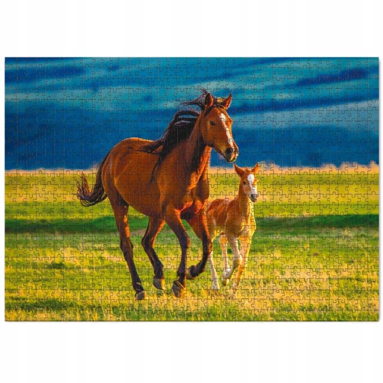 Dodo, Teaching the foal, konie, puzzle, 1000 elementów