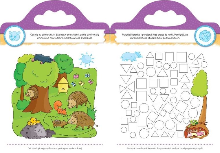 Domowe przedszkole od 5 lat. Zabawy edukacyjne z naklejkami