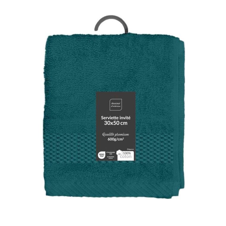 Douceur D'intérieur, Celadon, gładki ręcznik bawełniany do rąk, 30-50 cm