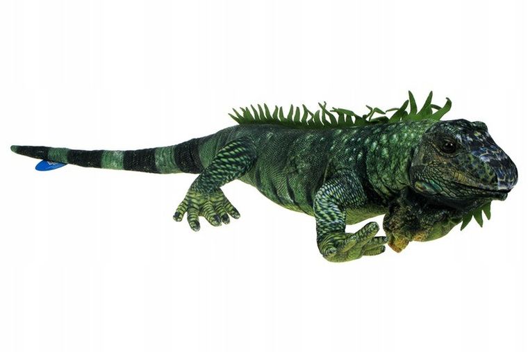 Dubi, Legwan, maskotka, 85 cm