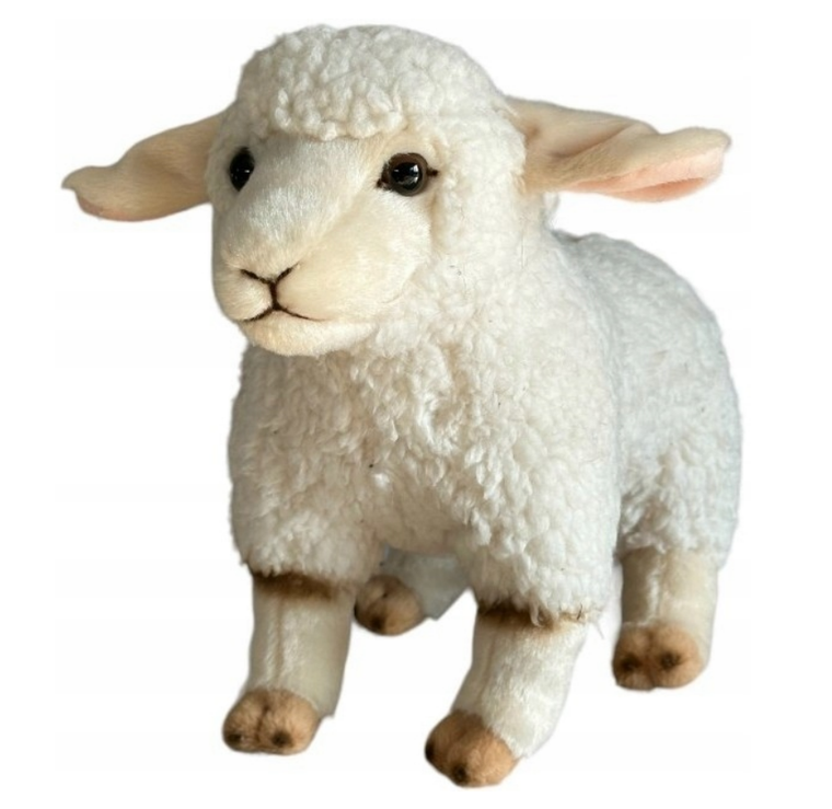 Dubi, Owca, maskotka, 23 cm