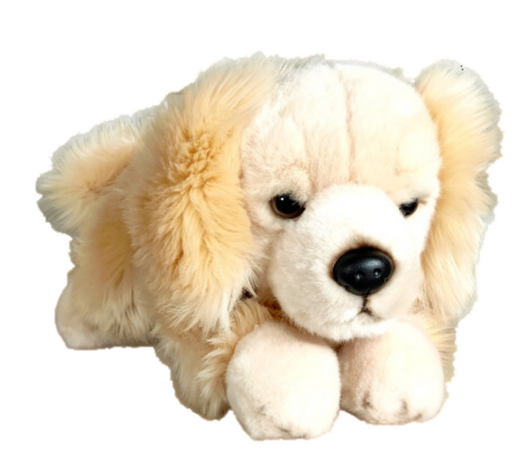 Dubi, Pies Retriver leżący, maskotka, 30 cm