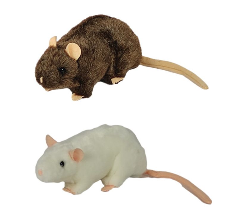 Dubi, Szczur, maskotka, 20 cm, 1 szt.