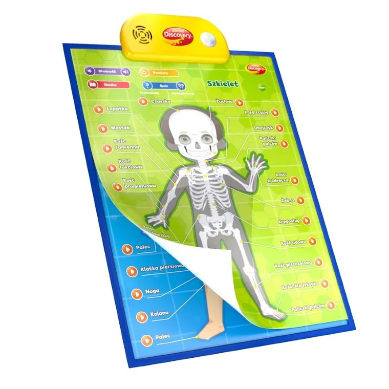 Dumel Discovery, Człowiek, edukacyjne plakaty interaktywne