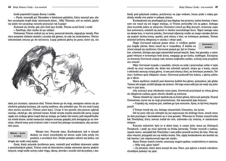 Dzieje Tristana i Izoldy. Wydanie z opracowaniem i streszczeniem