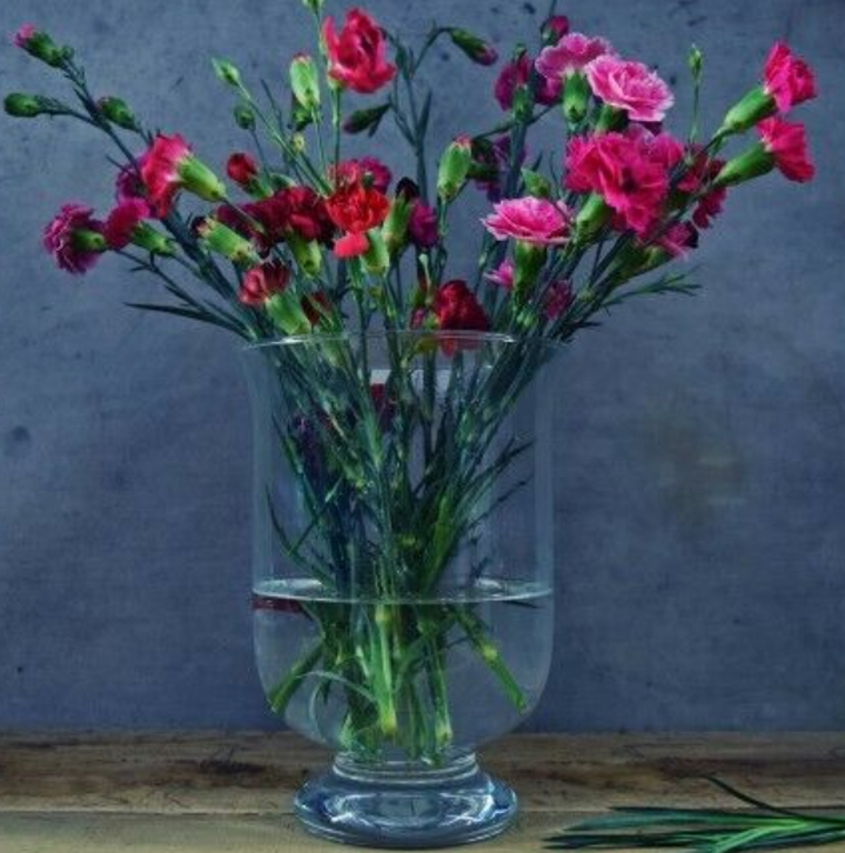 Edwanex, wiatroświecznik, 16 cm