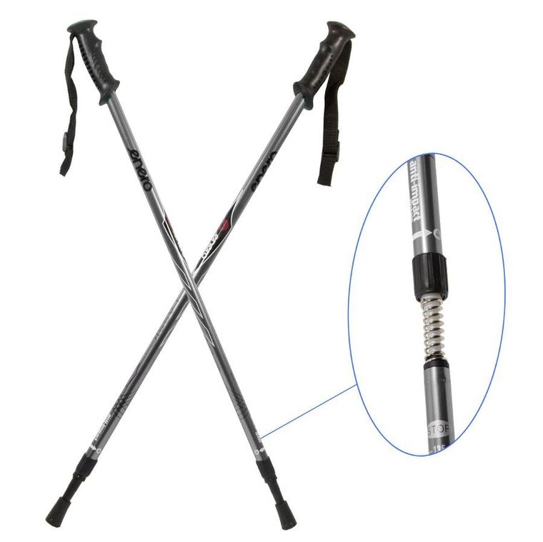 Enero, Classic, kije trekkingowe, srebrne