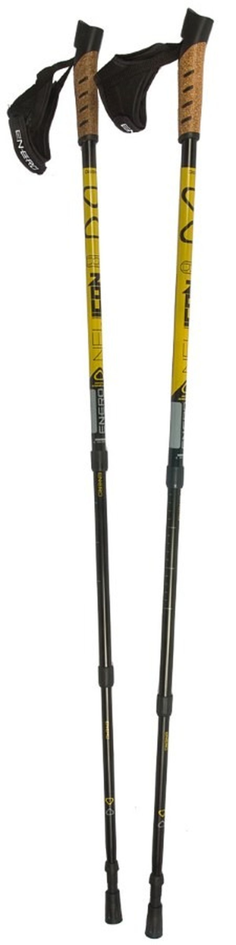 Enero, New Icon, kije do nordic walking z pokrowcem