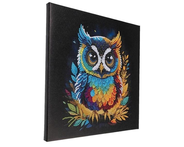 Epee, Crystal Art, obraz na płótnie z mozaiką, sowa, 30-30 cm