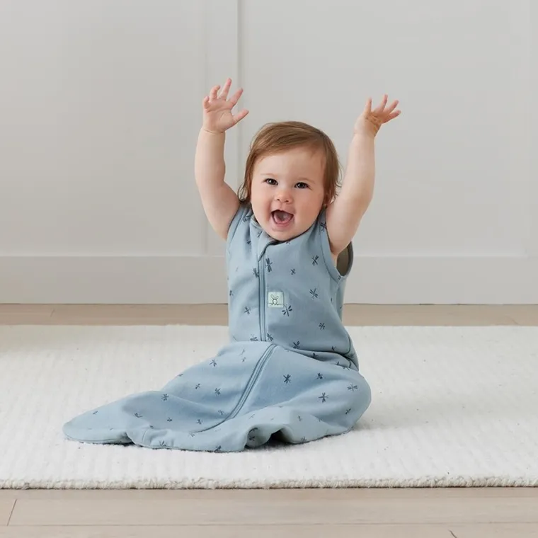 ergoPouch, śpiworek Jersey, 3-12m, TOG 1.0, Dragonflies