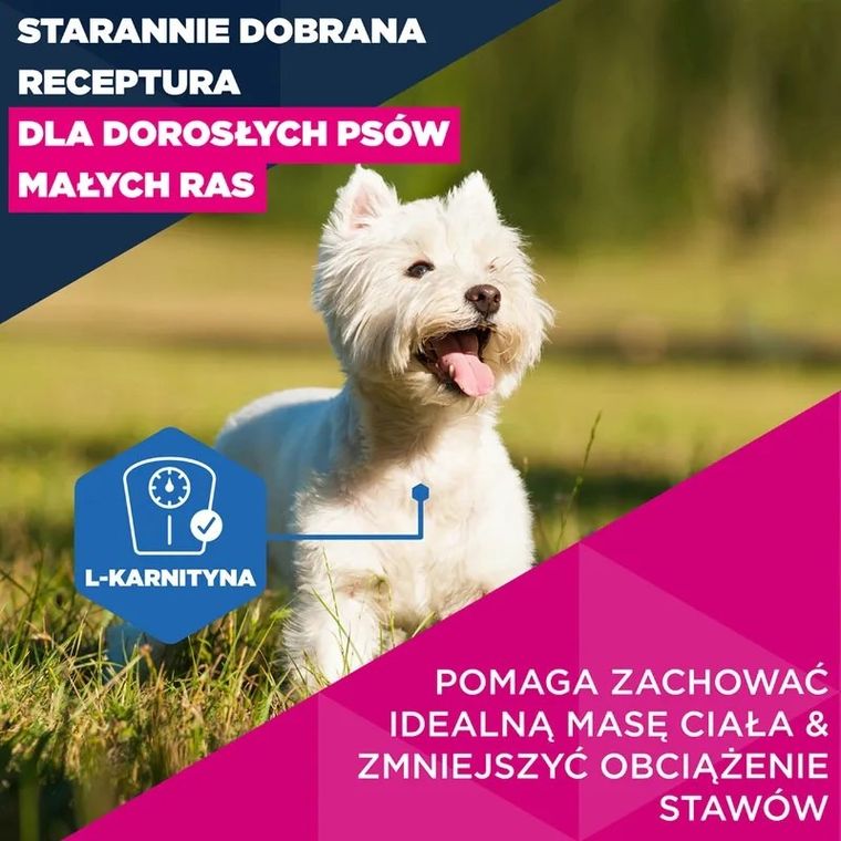 Eukanuba, Mature Small, kurczak, karma sucha dla psów, 3 kg