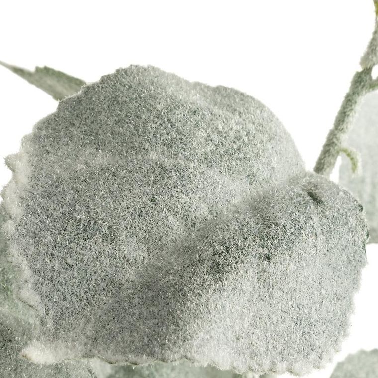 Eurofirany, gałązka świąteczna dekoracyjna, 30-74 cm, zielony