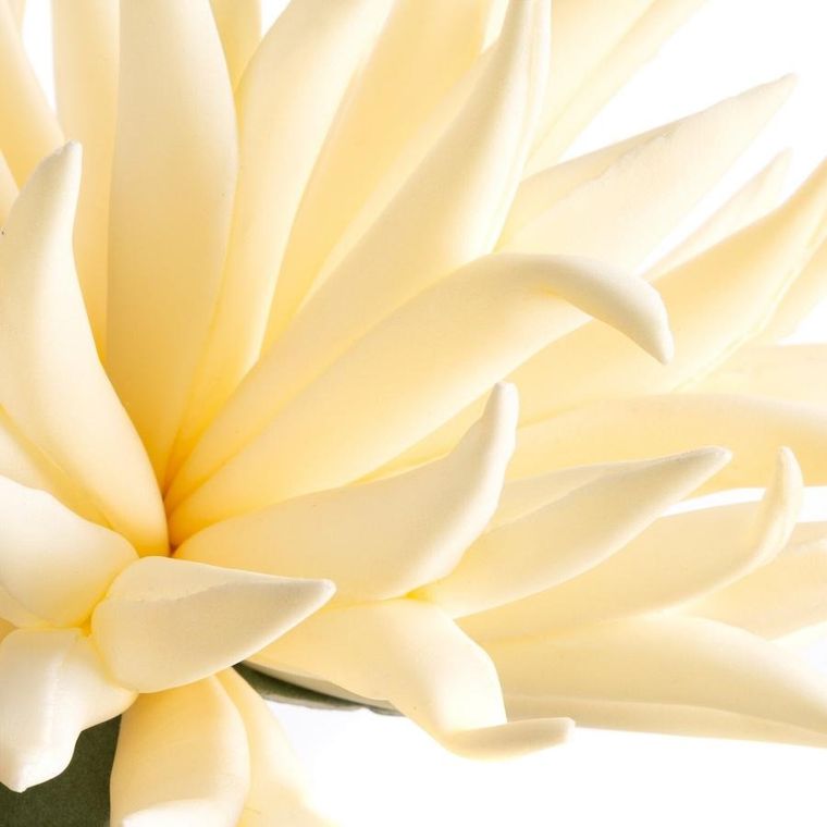 Eurofirany, kwiat flore, 15-55 cm, kremowy