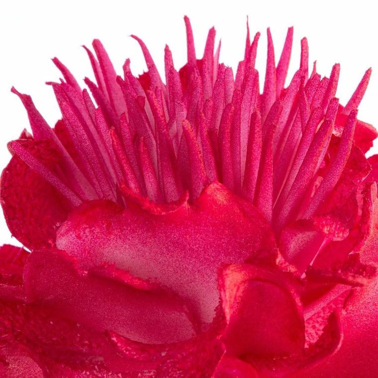 Eurofirany, kwiat flore, 15-64 cm, ciemnoróżowy