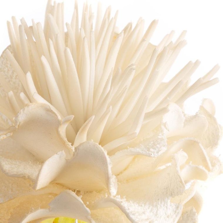 Eurofirany, kwiat flore, 15-64 cm, kremowy