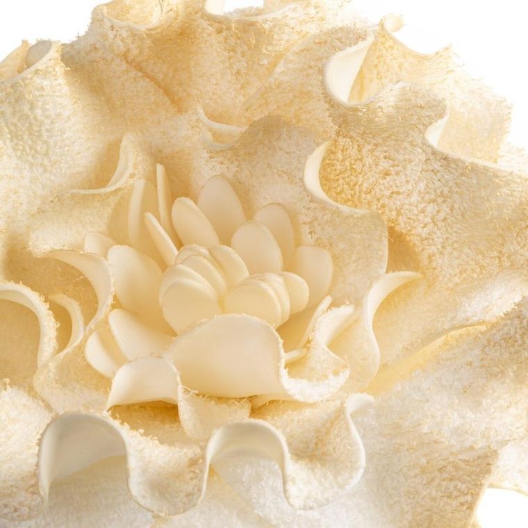 Eurofirany, kwiat flore, 20-65 cm, kremowy