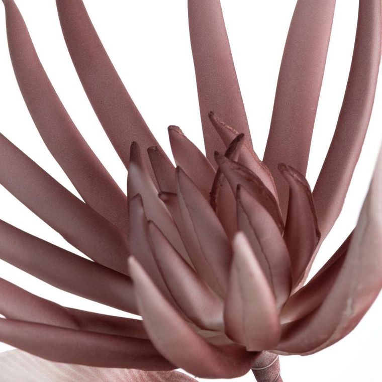 Eurofirany, kwiat flore, 20-70 cm, pudrowy