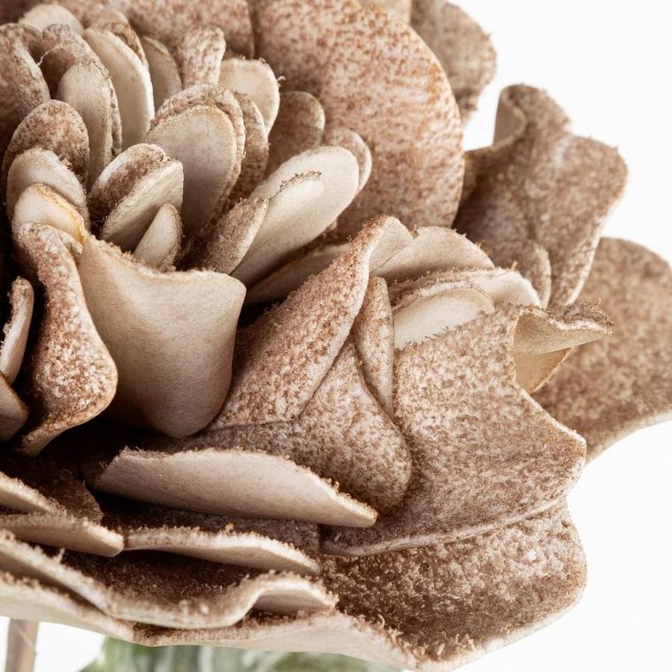 Eurofirany, kwiat flore, 25-70 cm, ciemnobeżowy