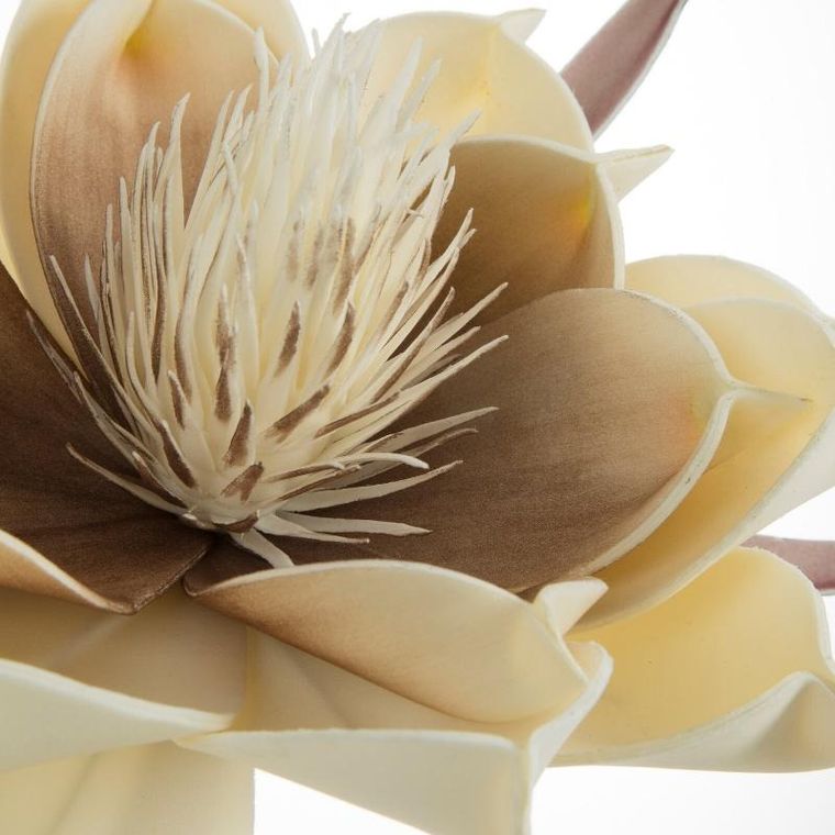 Eurofirany, kwiat flore, 65 cm, kremowy