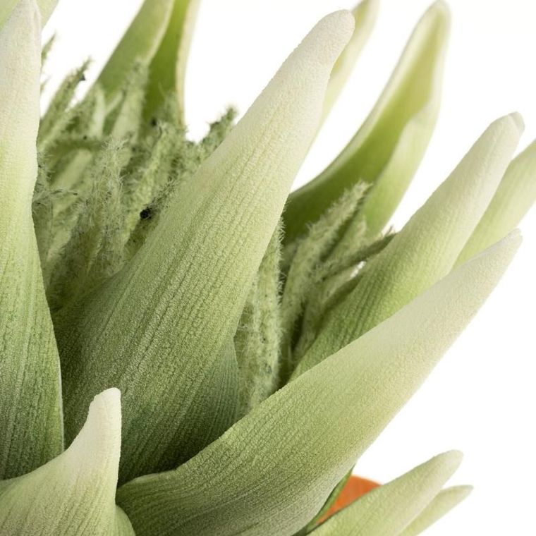 Eurofirany, kwiat Flore, 76 cm, zielony