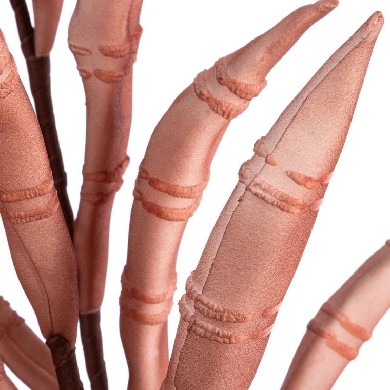 Eurofirany, kwiat flore, 80 cm, brązowy