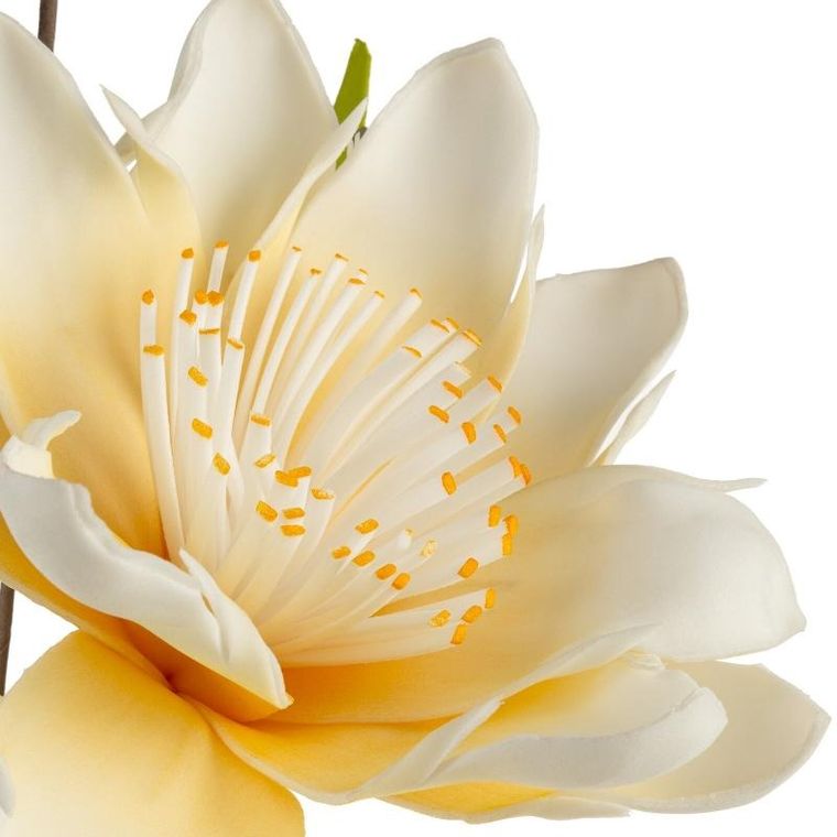 Eurofirany, kwiat Flore, 85 cm, kremowy