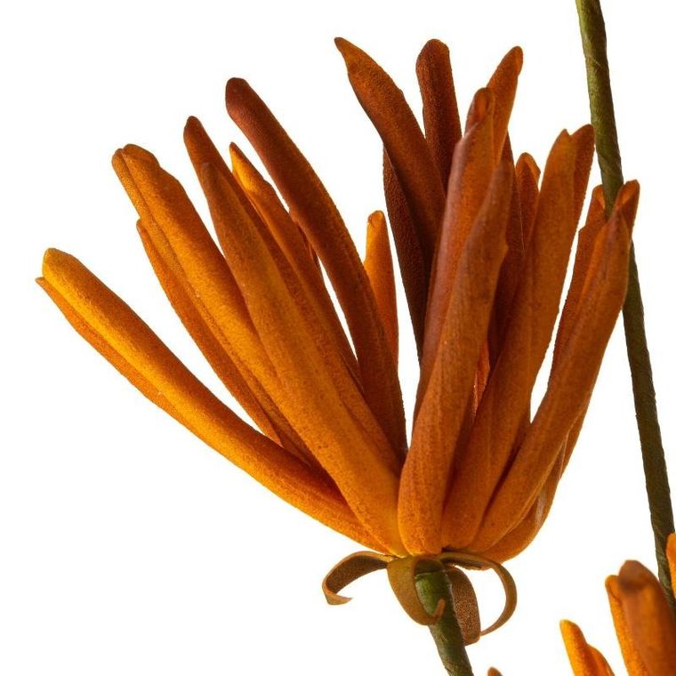 Eurofirany, kwiat flore, 90 cm, pomarańczowy