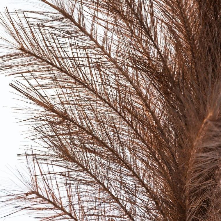 Eurofirany, kwiat Flore, długość 1cm, część ozdobna - pióropusz 50 cm, ciemnobrązowy