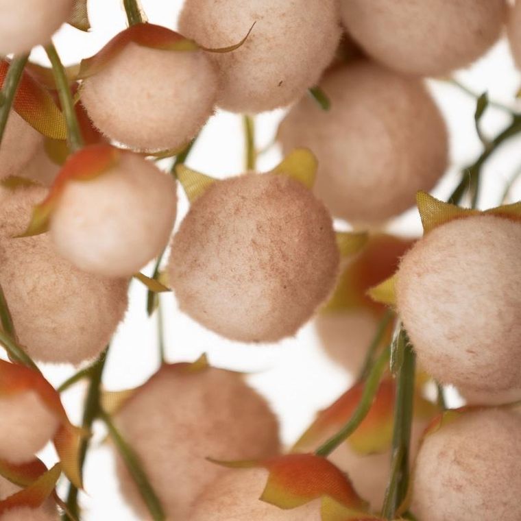 Eurofirany, kwiat Flore, długość 78 cm, długość z ozdobami 42 cm, jasnobrązowy