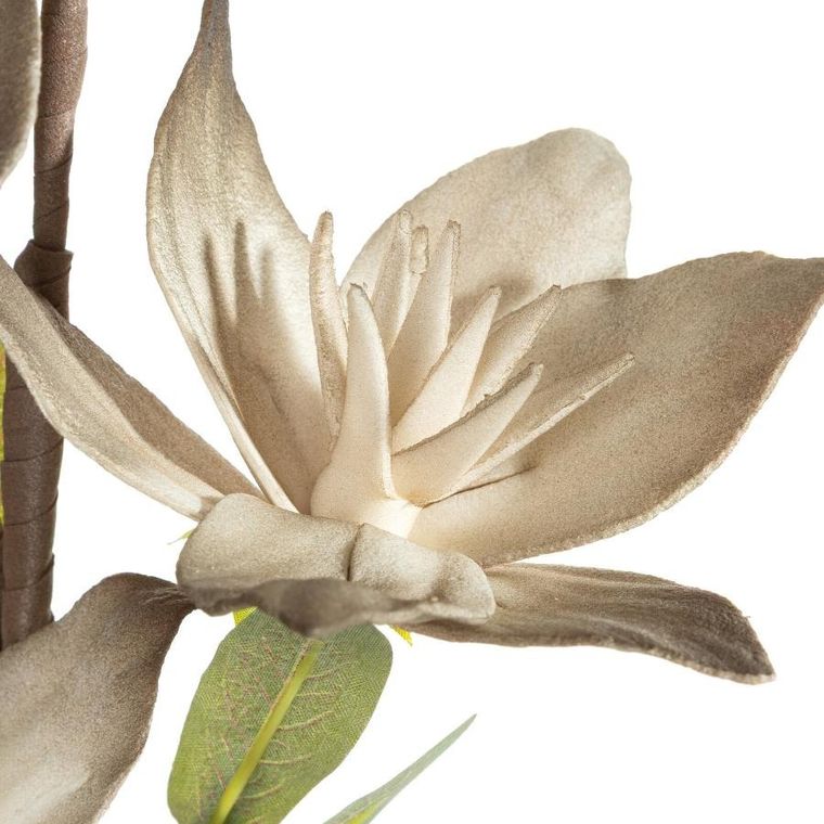 Eurofirany, kwiat flore, o 10-50 cm, ciemnobeżowy