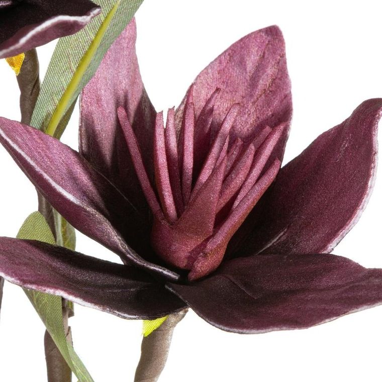 Eurofirany, kwiat flore, o 10-50 cm, ciemnofioletowy