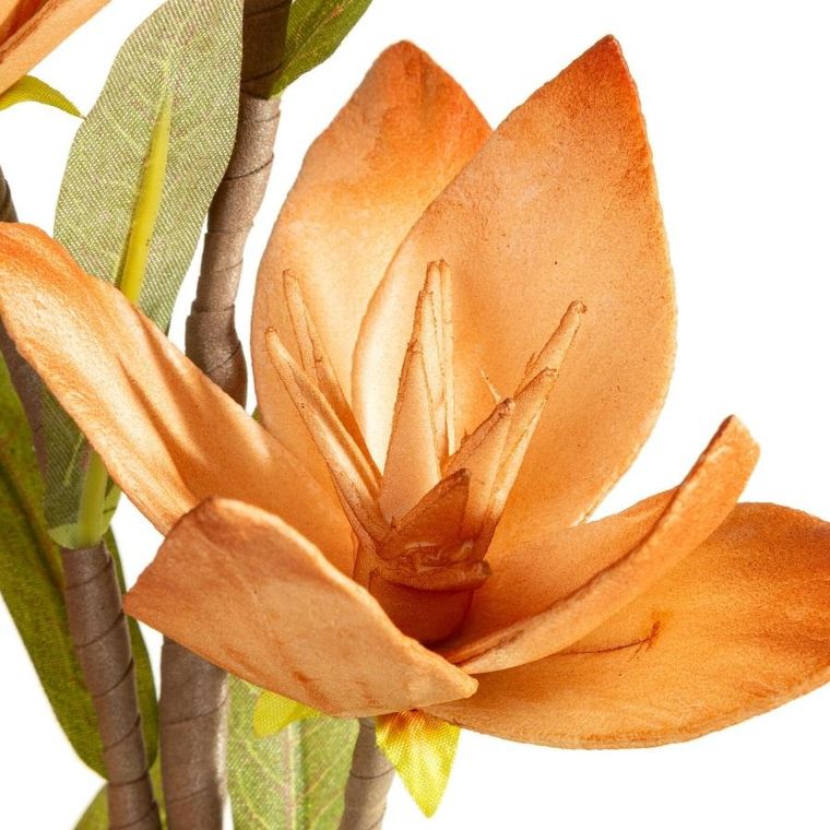 Eurofirany, kwiat flore, o 10-50 cm, jasnobrązowy