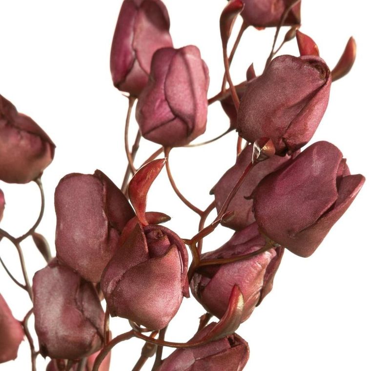 Eurofirany, kwiat flore, o 2-75 cm, ciemnofioletowy