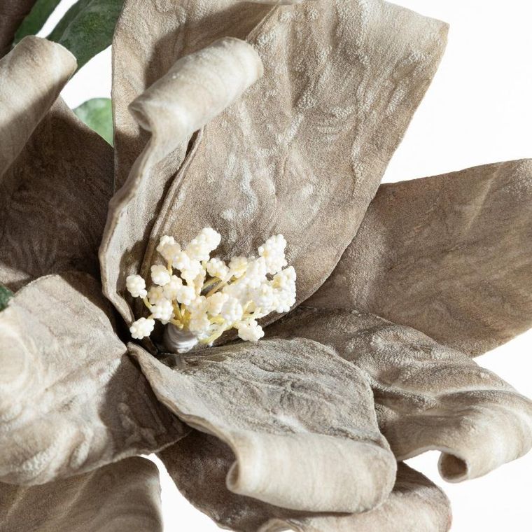 Eurofirany, kwiat flore, o 20-70 cm, ciemnobeżowy