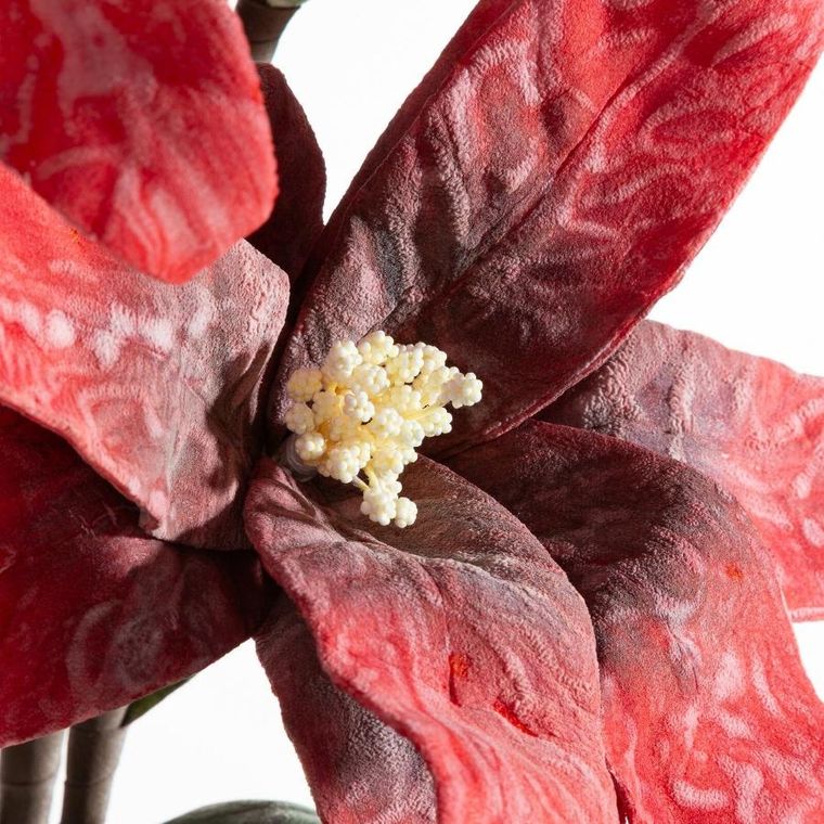 Eurofirany, kwiat flore, o 20-70 cm, czerwony