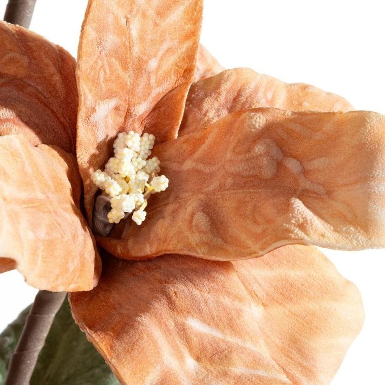 Eurofirany, kwiat flore, o 20-70 cm, jasnobrązowy