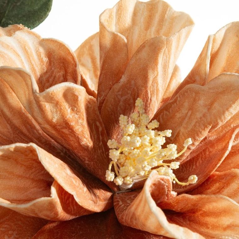 Eurofirany, kwiat flore, o 20-70 cm, jasnobrązowy