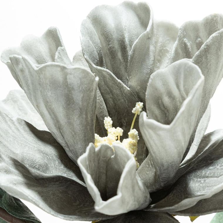 Eurofirany, kwiat flore, o 20-70 cm, popielaty