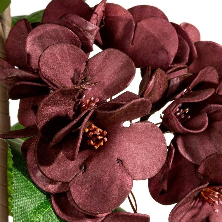 Eurofirany, kwiat flore, o 25-50 cm, ciemnofioletowy