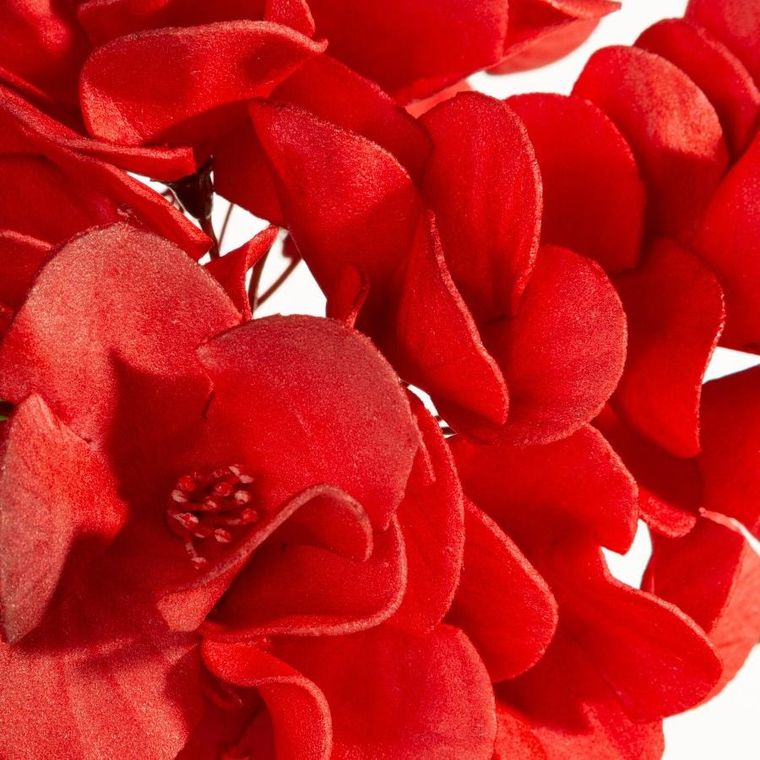 Eurofirany, kwiat flore, o 25-50 cm, czerwony