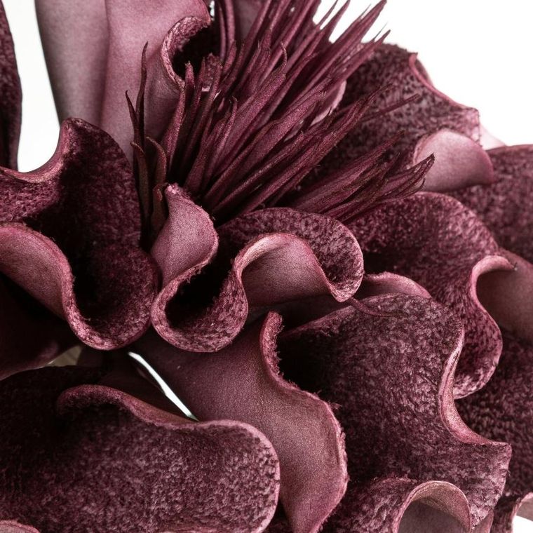 Eurofirany, kwiat flore, o 30-75 cm, ciemnofioletowy